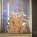 IMG 5897