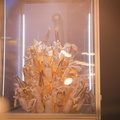 IMG 5898