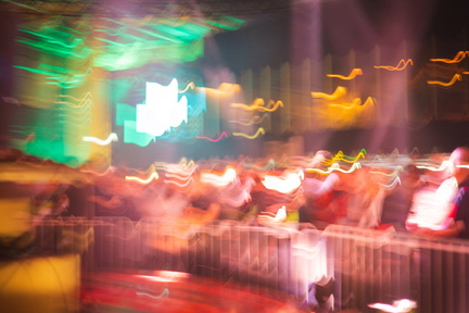 IMG 7385